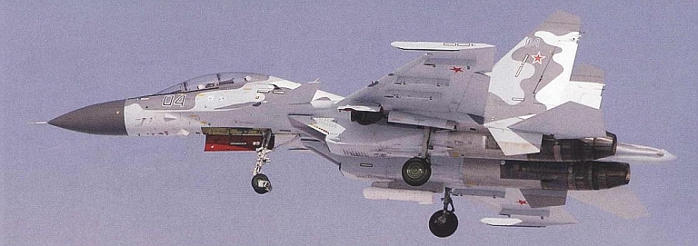 Su-30MK-Demonstrator-Damocles-1S.jpg